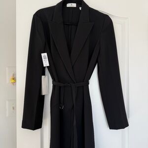 Aritzia Babaton black pantsuit